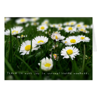 Amelia's Extraordinaire Adventures Journal