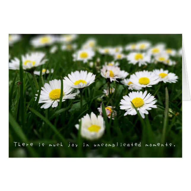 Amelia's Extraordinaire Adventures Journal (Devant horizontal)