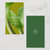 Aménagement du carte de visite (Devant / Derrière)