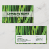 Aménagement et carte de visite de nature de (Devant / Derrière)