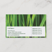 Aménagement et carte de visite de nature de (Dos)