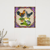 Ameraucana familie opgezet poster (Keuken)