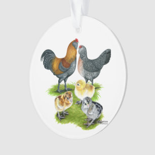 Ameraucana Kippenfamilie Ornament