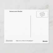 Ameraucana Rooster Briefkaart (Achterkant)