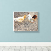 Ameraucanas Canvas Afdruk (Insitu (Houten vloer))