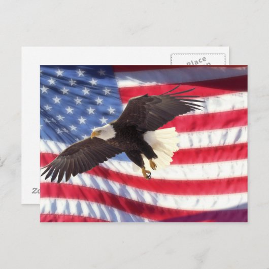 Américain Eagle et carte postale de drapeau (Devant / Derrière)