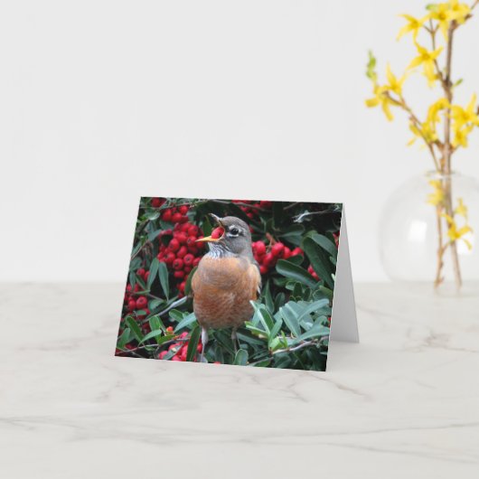 Américain Robin • Joe Sweeney - carte (Fleur jaune)