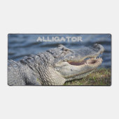 American Alligator Photographie Faune Closeup (Recto)