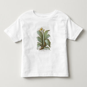 American Aloe: Aloe Americana uit de 'Hortus Ey' Kinder Shirts