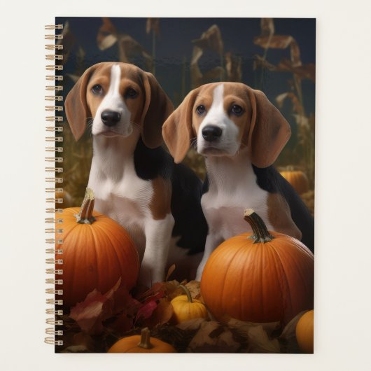 American Anglais Foxhound Puppy Automne Delight (Devant)