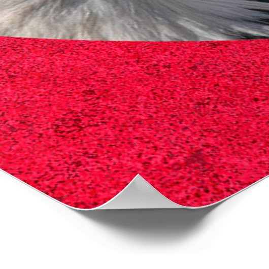 American Bald Eagle, Bell et affiche du drapeau (Coin)