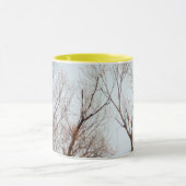 American Bald Eagle Circling the Nest Mok (Midden)