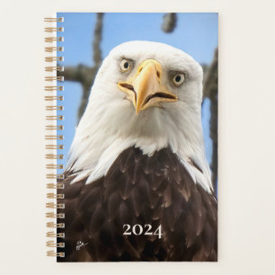 American Bald Eagle Face Drôle Art