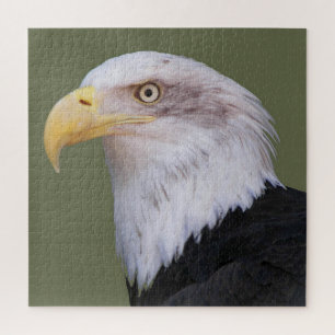 American Bald Eagle Foto Legpuzzel