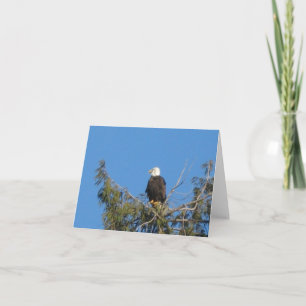 American Bald Eagle Note Card Kaart