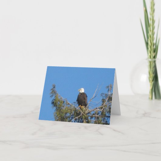 American Bald Eagle Note Kaart (Voorkant)