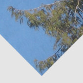 American Bald Eagle Tissue Tissuepapier (Detail)