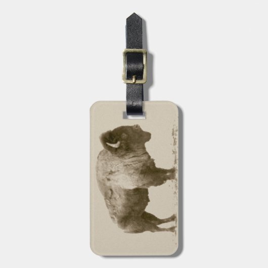 American Bison Bagagelabel (Voorkant verticaal)
