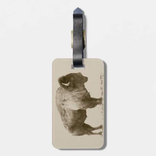 American Bison Bagagelabel (Achterkant verticaal)
