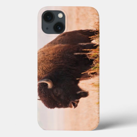 American Bison (Bison Bison) Herd In Teton 2 Case-Mate iPhone Case (Achterkant)