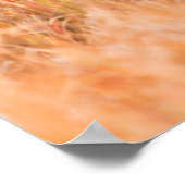 American Bison (Bison Bison) Herd In Teton 2 Poster (Hoek)