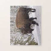 American Bison (Bison bison) Puzzle Legpuzzel (Verticaal)
