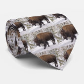 American Bison (Bison bison) Stropdas (Opgerold)