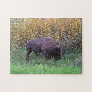 American Bison Design Jigzaag Puzzle Legpuzzel