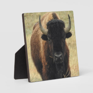 American Bison Desktop Plaque Fotoplaat