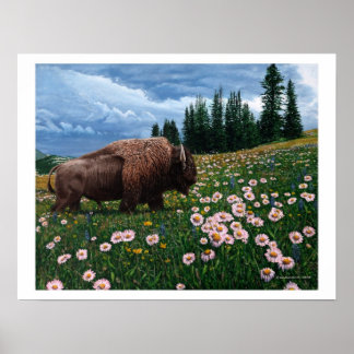 American Bison - "No Time for Flowers" Poster
