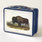 American Bison of Buffalo (Bison bison) - Audubon (Voorkant)