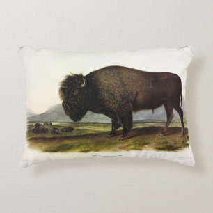 American Bison of Buffalo (Bison bison) - Audubon Accent Kussen