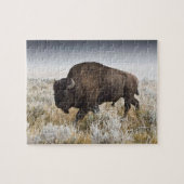 American Bison of Buffalo Legpuzzel (Horizontaal)