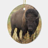 American Bison Ornament (Links)