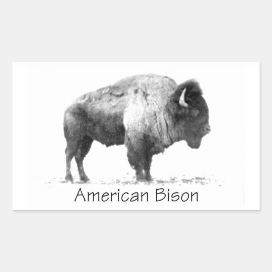 American Bison Rechthoekige Sticker (Voorkant)