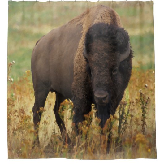 American Bison Shower Curtain Douchegordijn (Voorkant)