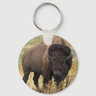 American Bison Sleutelhanger