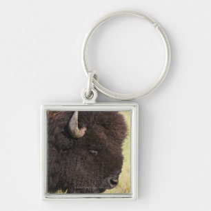 American Bison, South Dakota Sleutelhanger