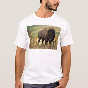 American Bison T-shirt