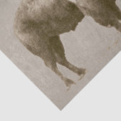 American Bison Tissuepapier (Detail)