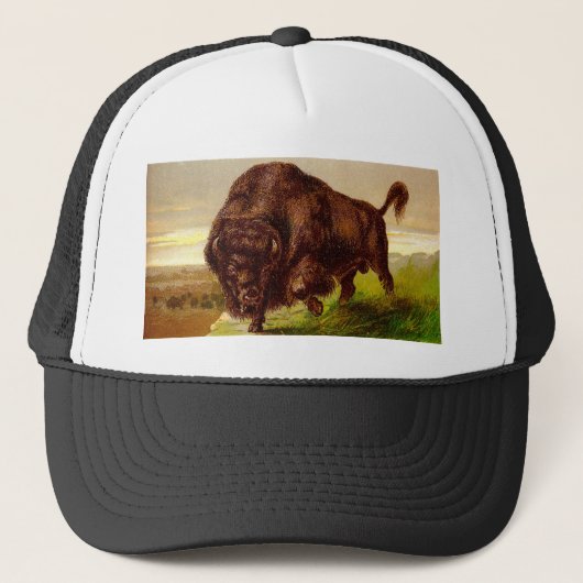 American Bison Trucker Pet (Voorkant)