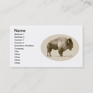 American Bison Visitekaartje