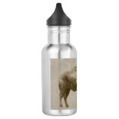 American Bison. Waterfles (Links)