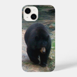 American Black Bear iPhone Case 14 Hoesje