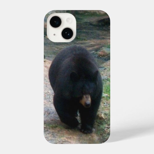 American Black Bear iPhone Case Hoesje (Achterkant)