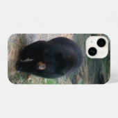 American Black Bear iPhone Case Hoesje (Achterkant horizontaal)