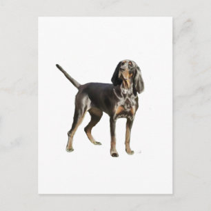 American Black en Tan Coon Hound Briefkaart