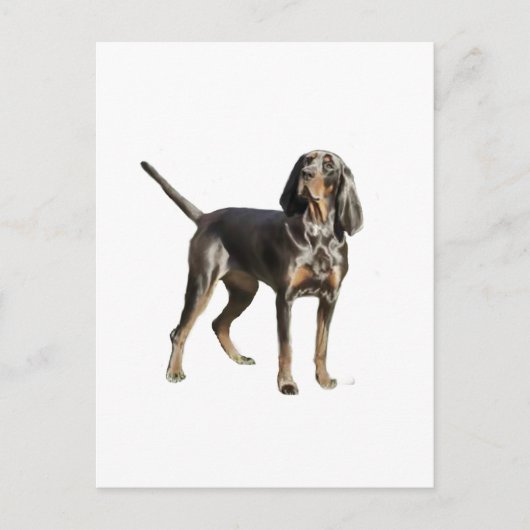 American Black en Tan Coon Hound Briefkaart (Voorkant)
