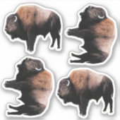 American Brown Buffalo Sticker (Voorkant)