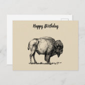 American Buffalo Bison Briefkaart (Voorkant / Achterkant)